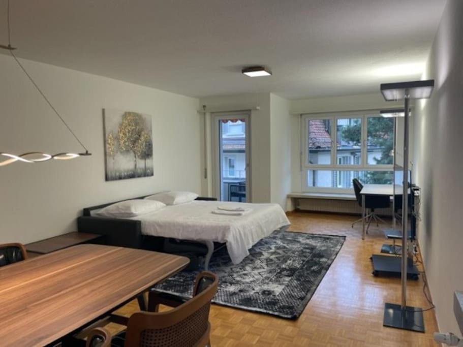 Cozy, Sunny, City Center 1 Bedroom Flat Zürich Exterior foto